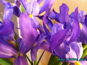 March Flower with Watermark